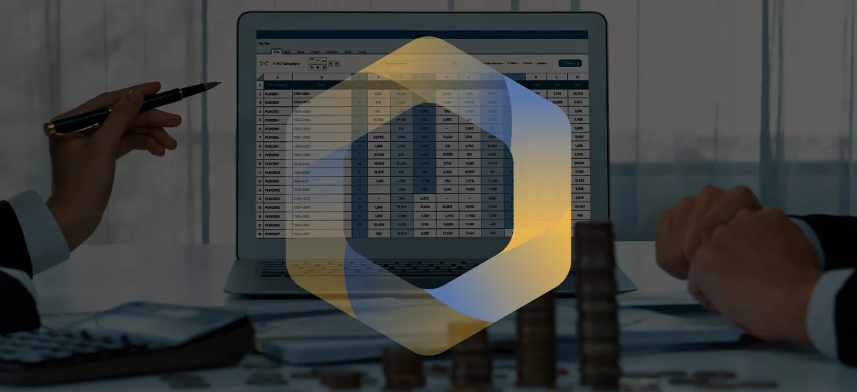 ბუღალტერული ბაზის აღდგენა გასწორება WEB optimized